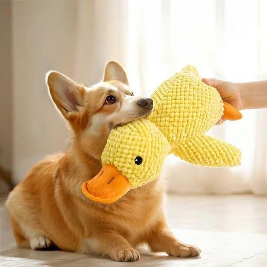 Squeaky Duck Plush Toy for Dogs – Soft Interactive Chew Toy