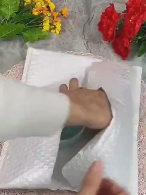 Brazilian Lucky Wood, Mini Home Plant Decorations (Pack of 2)